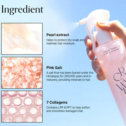 GROWUS - WASH TREATMENT EX 250ML (Damage Therapy No-Wash Treatment EX)