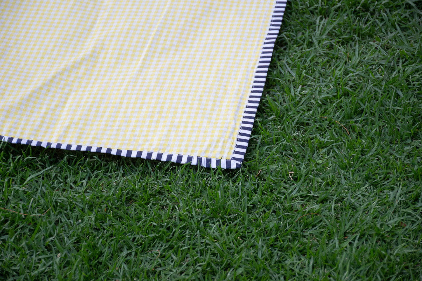 Tapete Metaphora - Cuadros