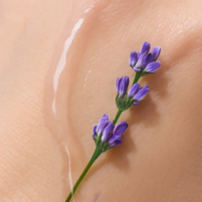 KAINE - LAVENDER PDRN REVITALIZING TONER 30ML